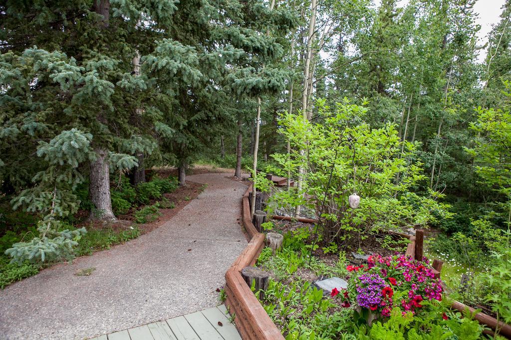 Hidden Valley Bed And Breakfast Уайтхорс Екстериор снимка