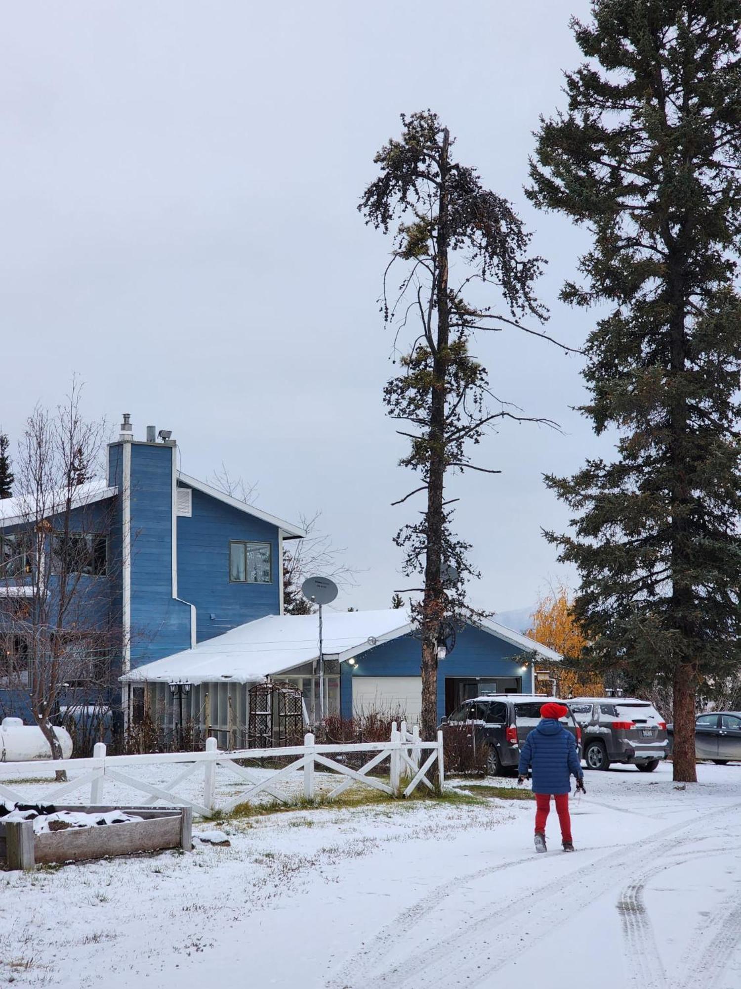 Hidden Valley Bed And Breakfast Уайтхорс Екстериор снимка